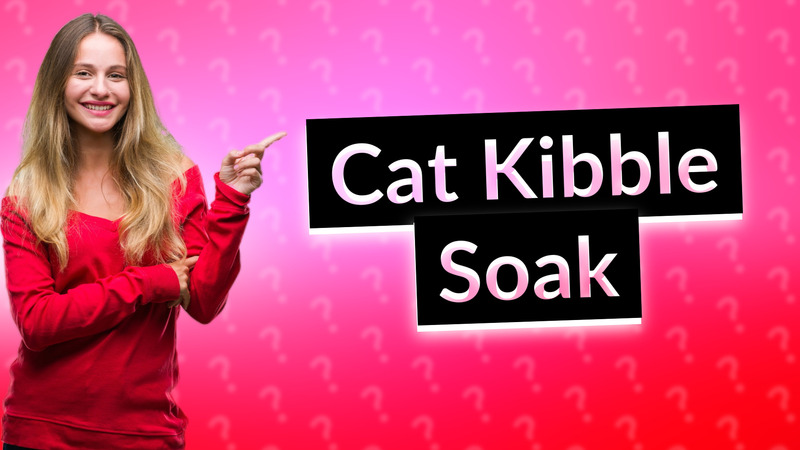 Cat Kibble Soak