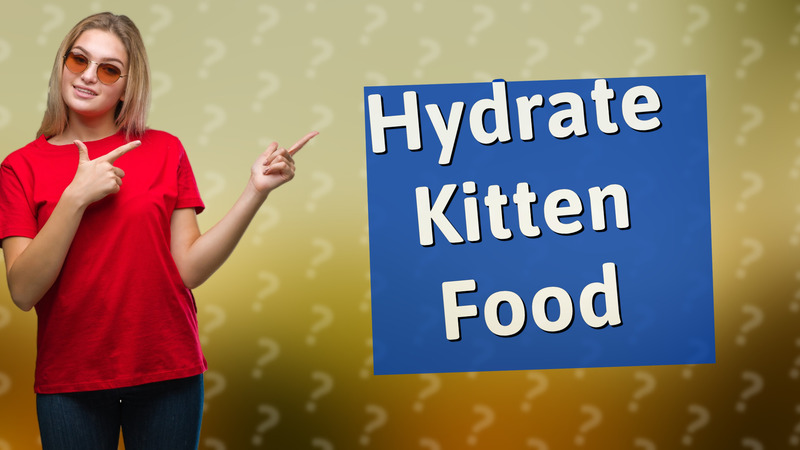 Hydrate Kitten Food