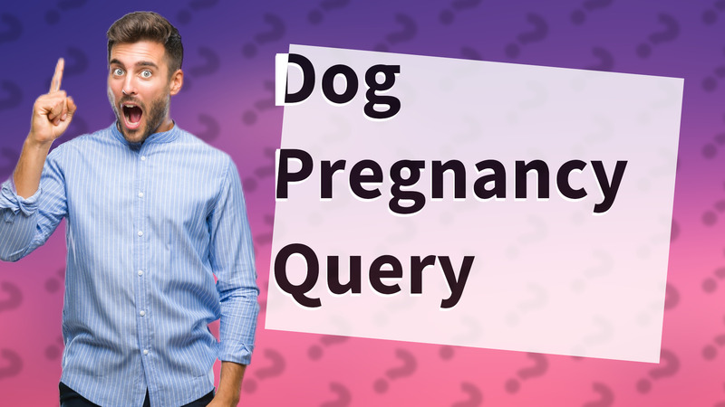 Dog Pregnancy Query