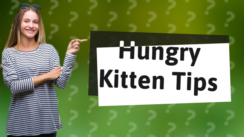 Hungry Kitten Tips