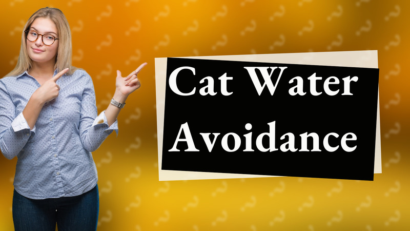 Cat Water Avoidance