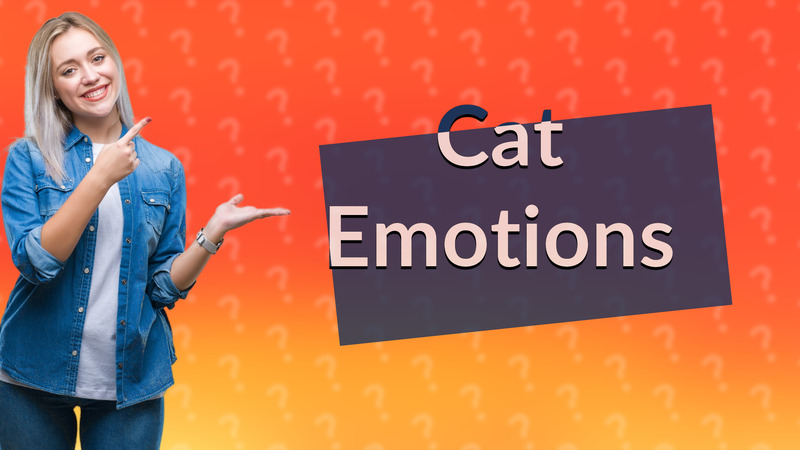 Cat Emotions