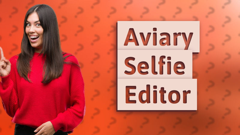 Aviary Selfie Editor