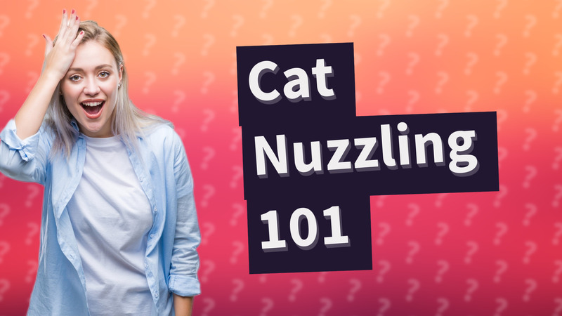 Cat Nuzzling 101
