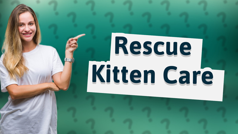 Rescue Kitten Care