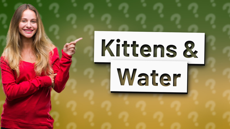 Kittens & Water