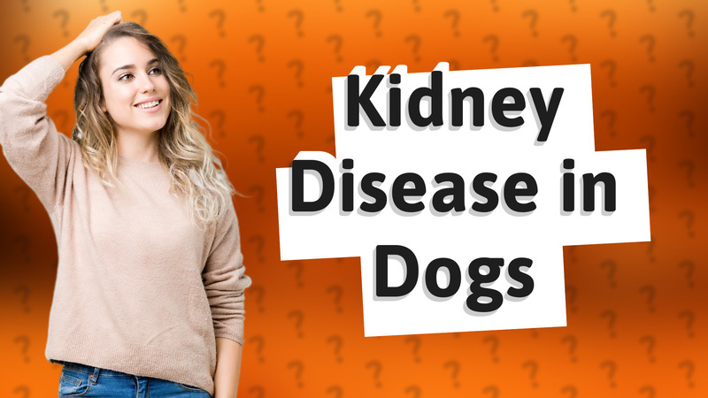 Kidney Disease in Dogs