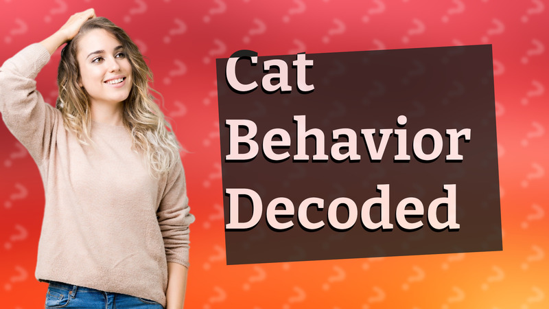 Cat Behavior Decoded