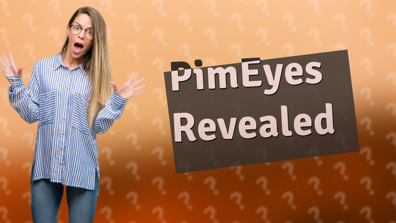 PimEyes Revealed