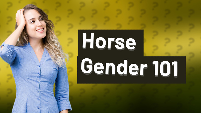 Horse Gender 101