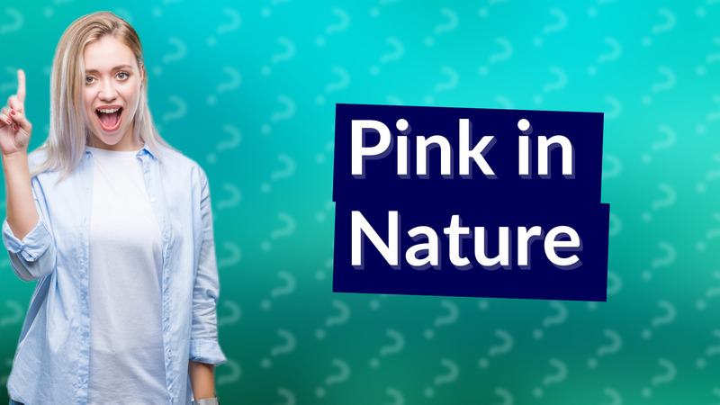 Pink in Nature