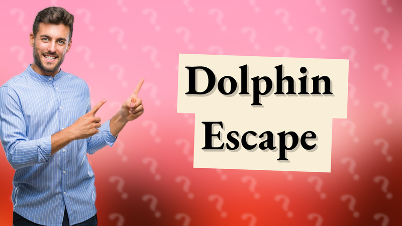 Dolphin Escape