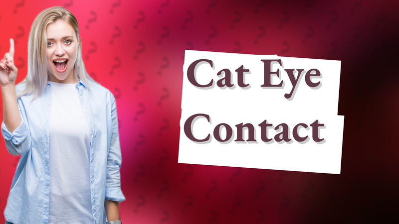 Cat Eye Contact