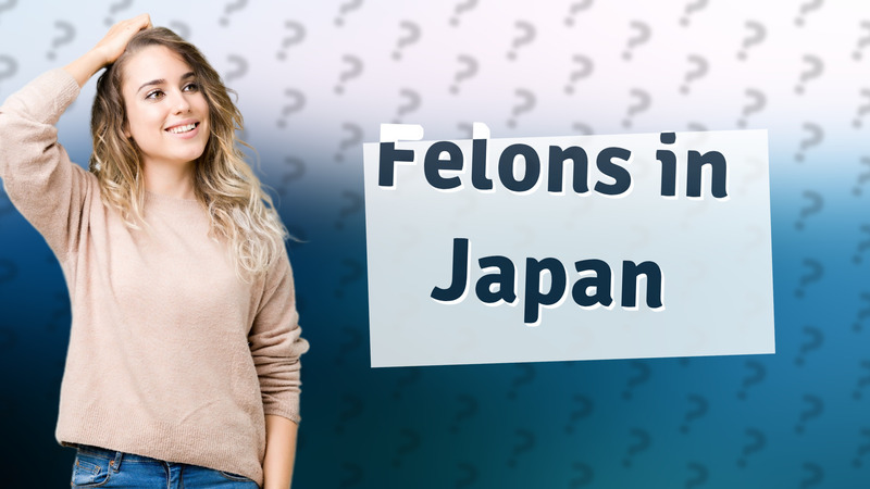 Felons in Japan