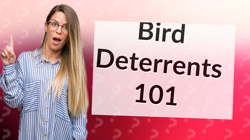 Bird Deterrents 101