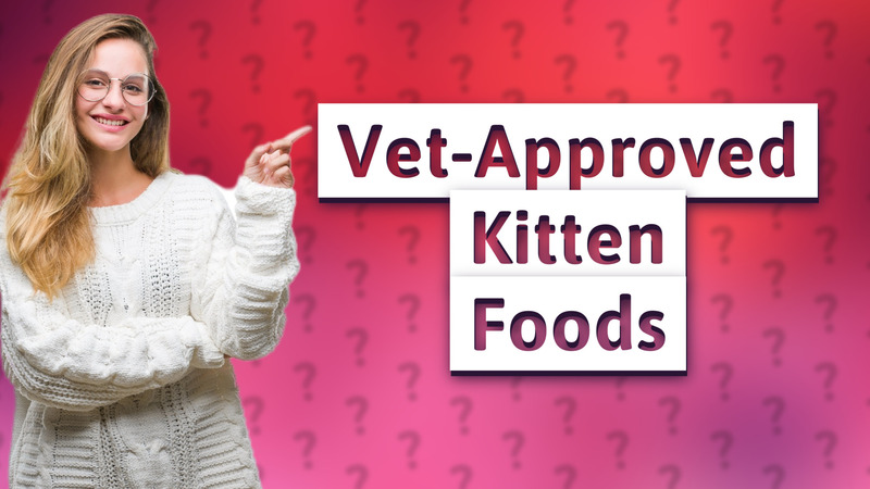Vet-Approved Kitten Foods