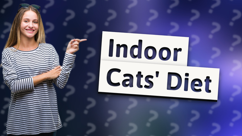 Indoor Cats' Diet