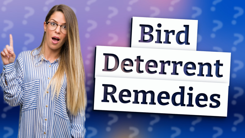 Bird Deterrent Remedies