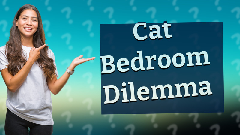 Cat Bedroom Dilemma