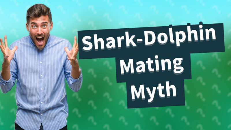 Shark-Dolphin Mating Myth