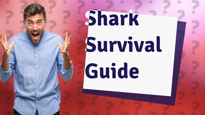 Shark Survival Guide