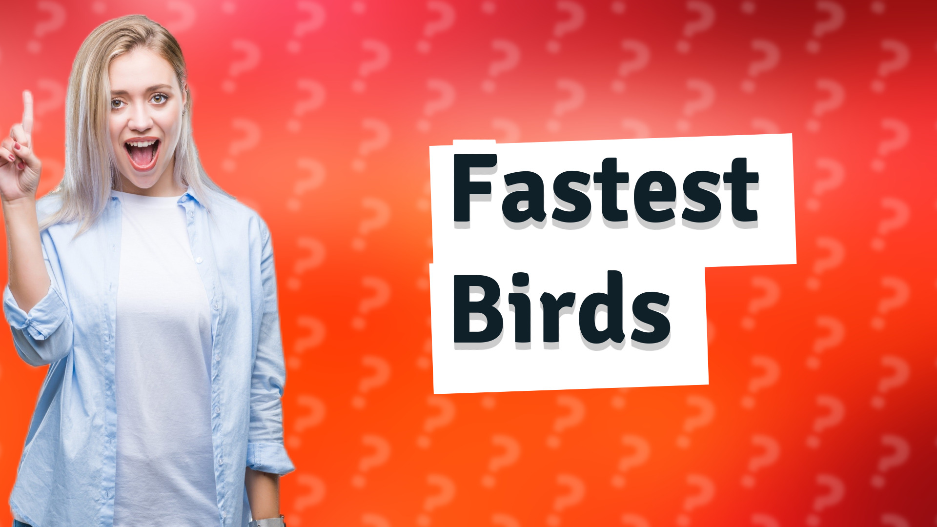 Fastest Birds