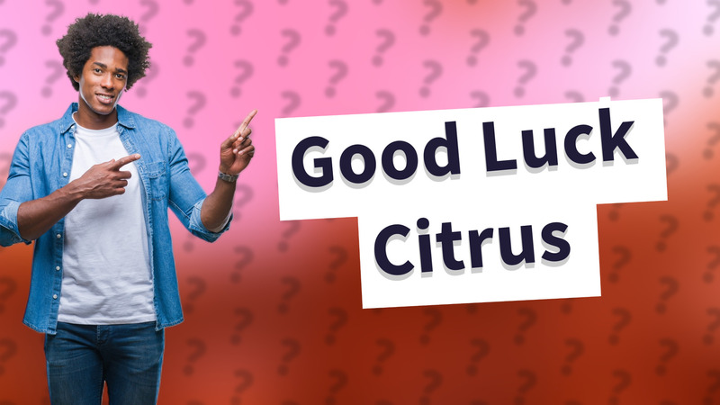 Good Luck Citrus