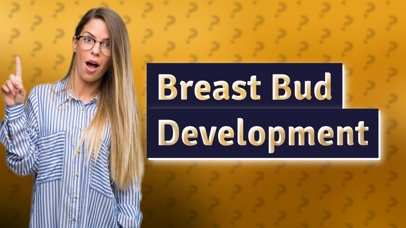 Breast Bud Development