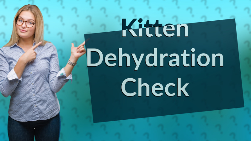 Kitten Dehydration Check