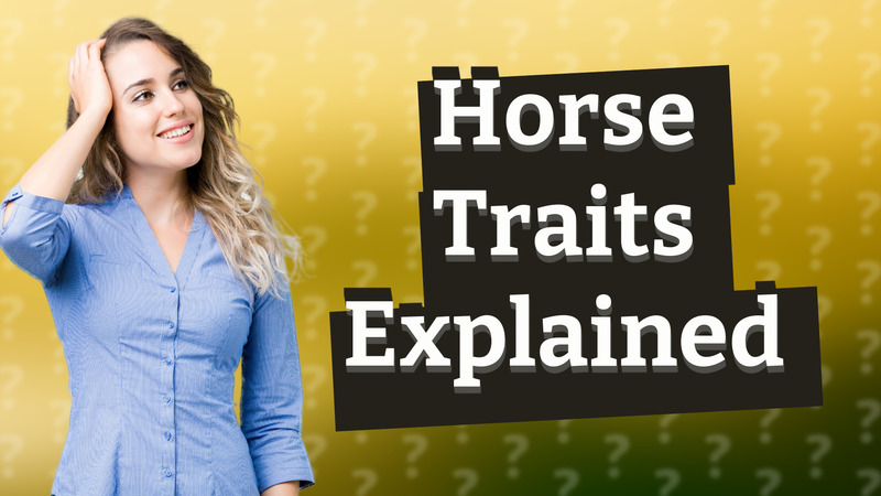 Horse Traits Explained