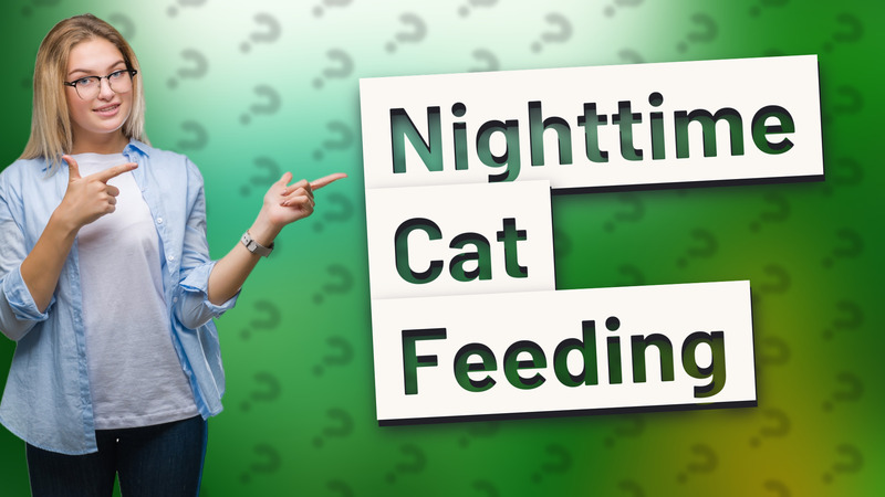 Nighttime Cat Feeding