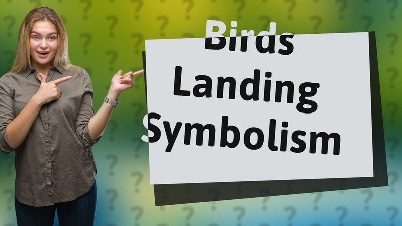 Birds Landing Symbolism