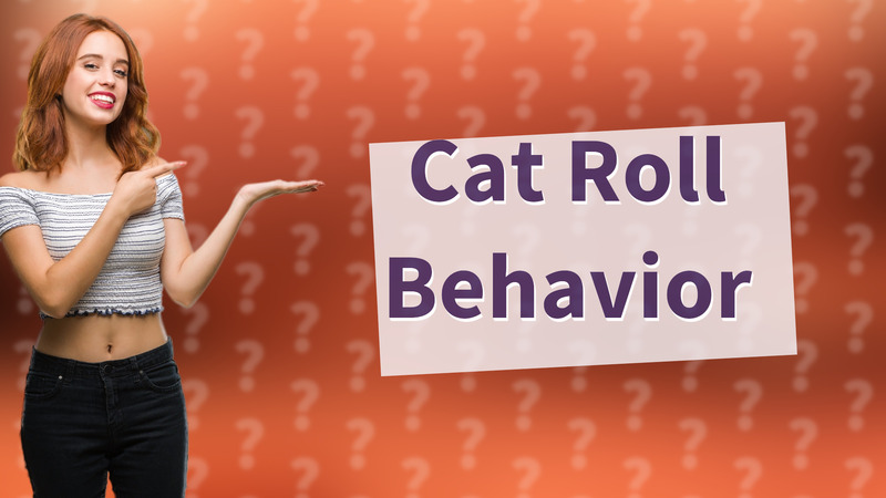 Cat Roll Behavior