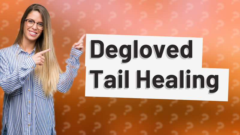 Degloved Tail Healing
