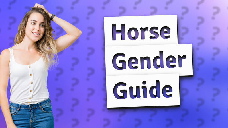 Horse Gender Guide