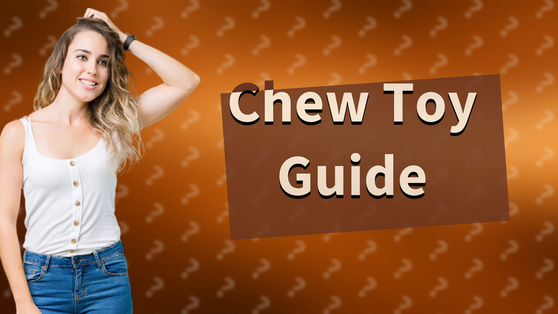 Chew Toy Guide