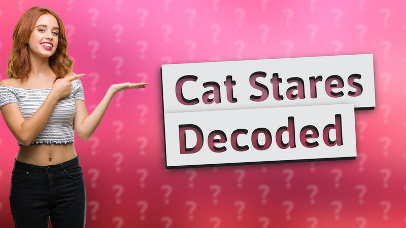 Cat Stares Decoded