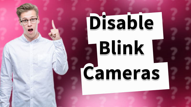 Disable Blink Cameras