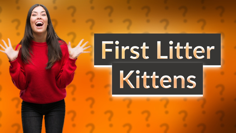 First Litter Kittens