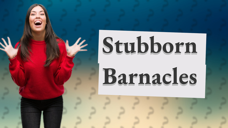 Stubborn Barnacles