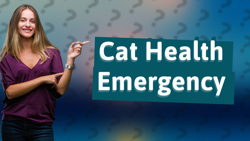 Cat Health Emergency