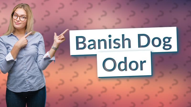 Banish Dog Odor