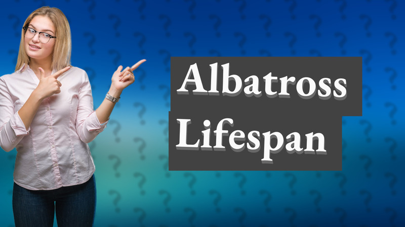 Albatross Lifespan