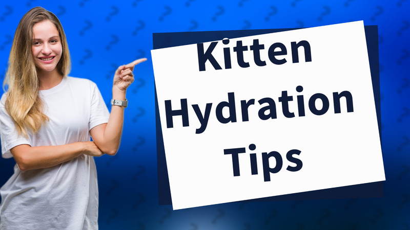 Kitten Hydration Tips