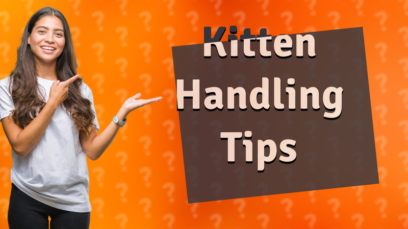 Kitten Handling Tips