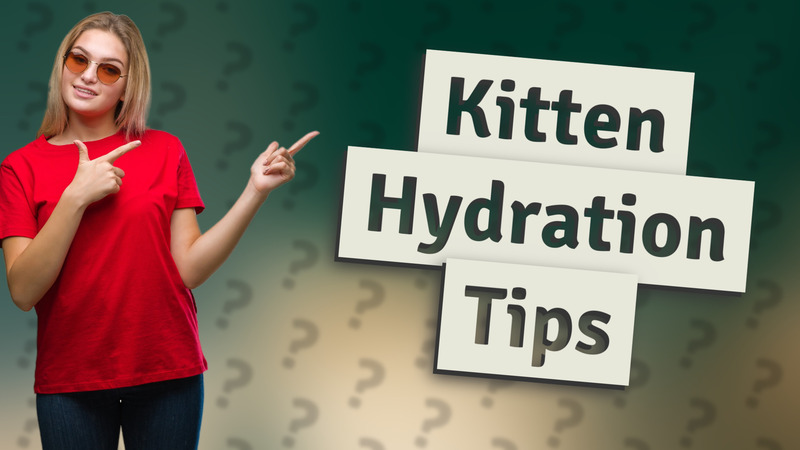 Kitten Hydration Tips