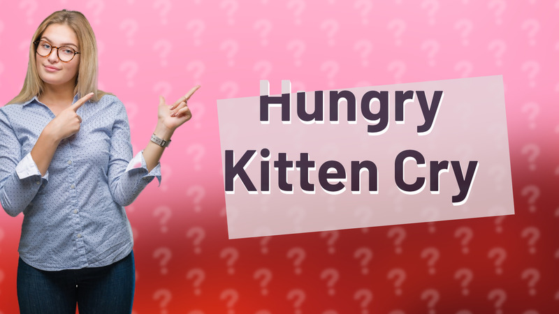 Hungry Kitten Cry