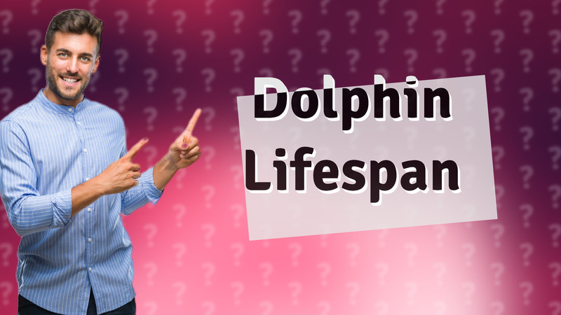 Dolphin Lifespan