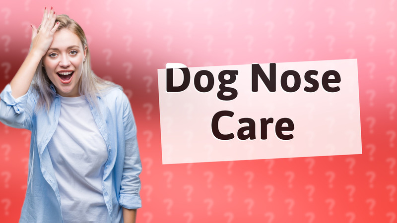 Dog Nose Care