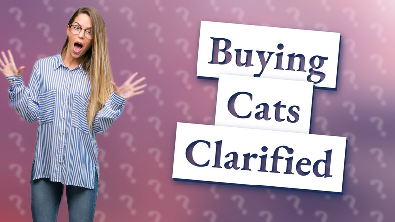 Buying Cats Clarified